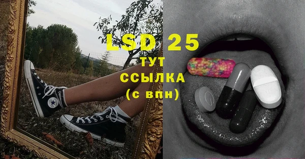 спиды Богданович
