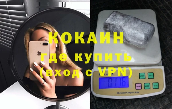 спиды Богданович