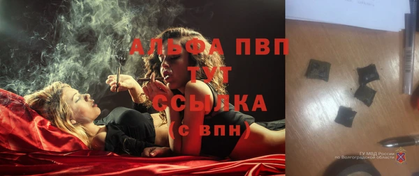 спиды Богданович