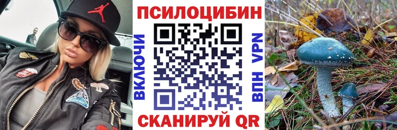 Псилоцибиновые грибы Psilocybe  blacksprut зеркало  Пермь 